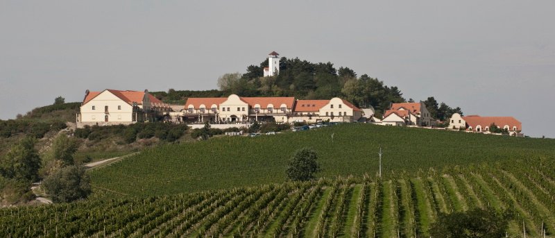 Vinařství U Kapličky - penzion