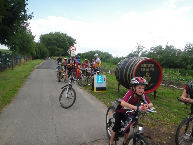 Sedlecká vína - degustační stánek