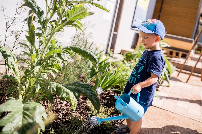 Bylinkový ráj Sonnentor