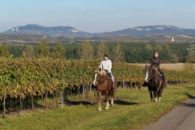 Jáňův dvůr - výletní hospůdka