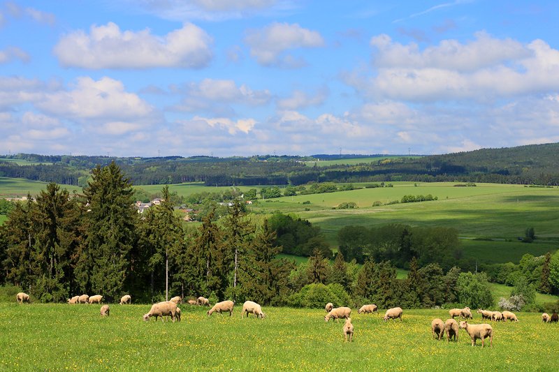 TIC a Regionální muzeum Nečtiny