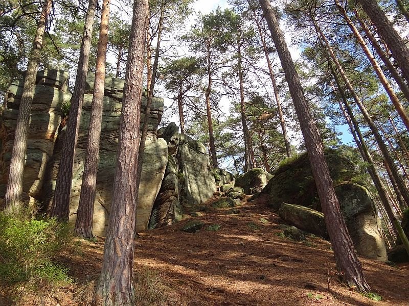 Muzeum dýmek Proseč