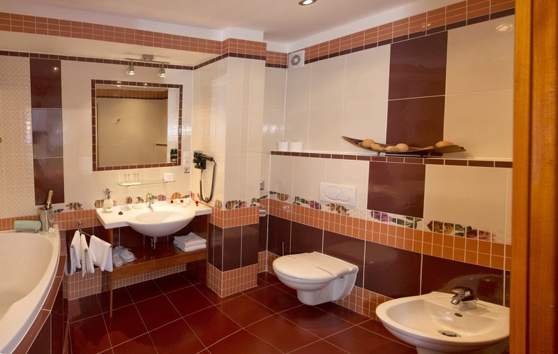 Hotel Česká Koruna ***+