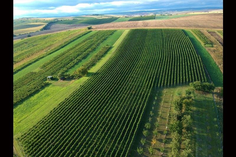Vinařství Grmolec - ubytování