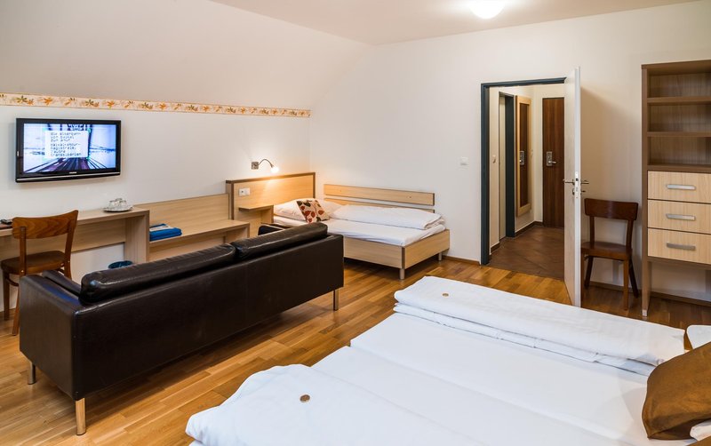 Davidův mlýn - ubytování