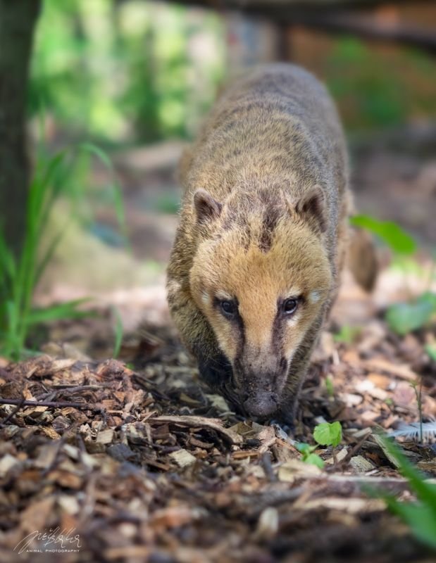 Zoopark Na Hrádečku