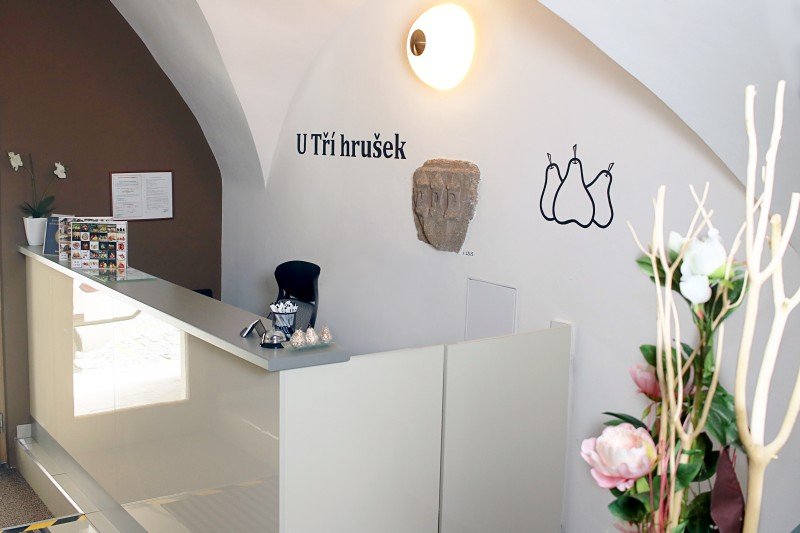 Suites & Apartments U Tří Hrušek