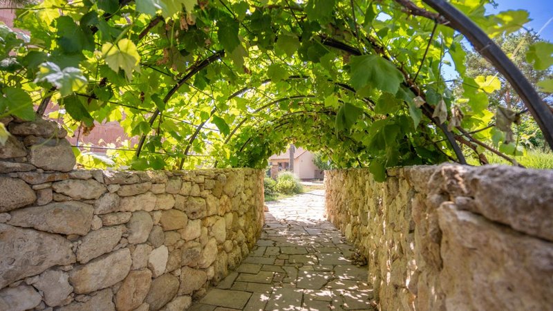 Vinařství HRANIČNÍ ZÁMEČEK