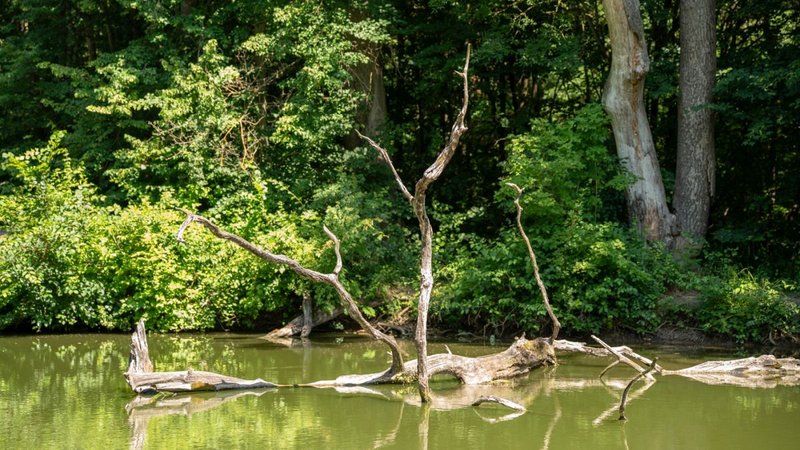 Vinařství HRANIČNÍ ZÁMEČEK