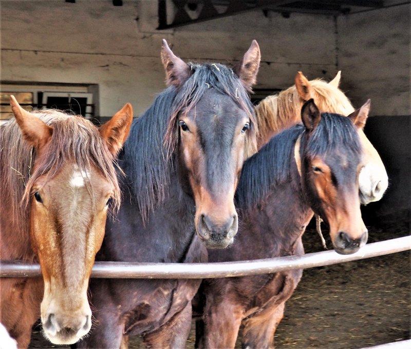 Informační centrum Vítkov