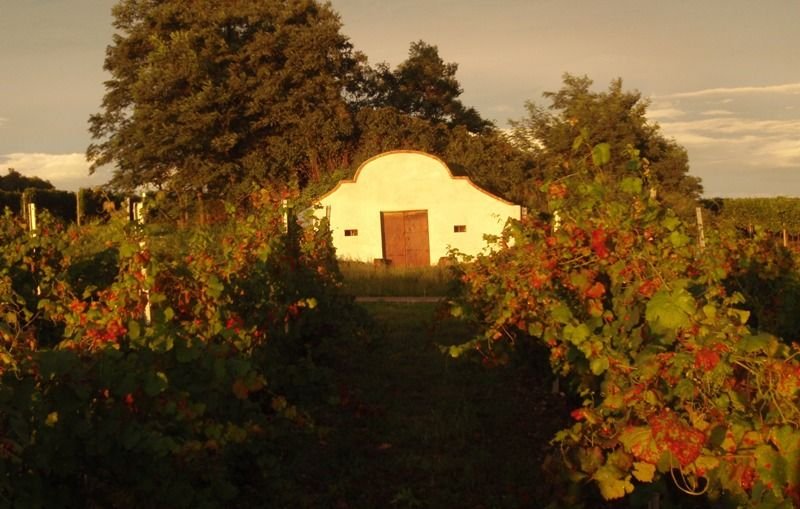 Jáňův dvůr - kemp